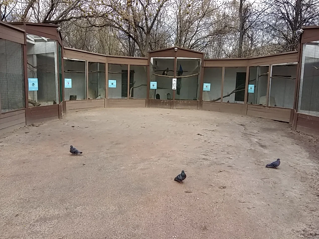Фото Мини-зоопарк "Мини Zoo" (м. Воробьевы горы) - развлечение в Москве | Досугатор